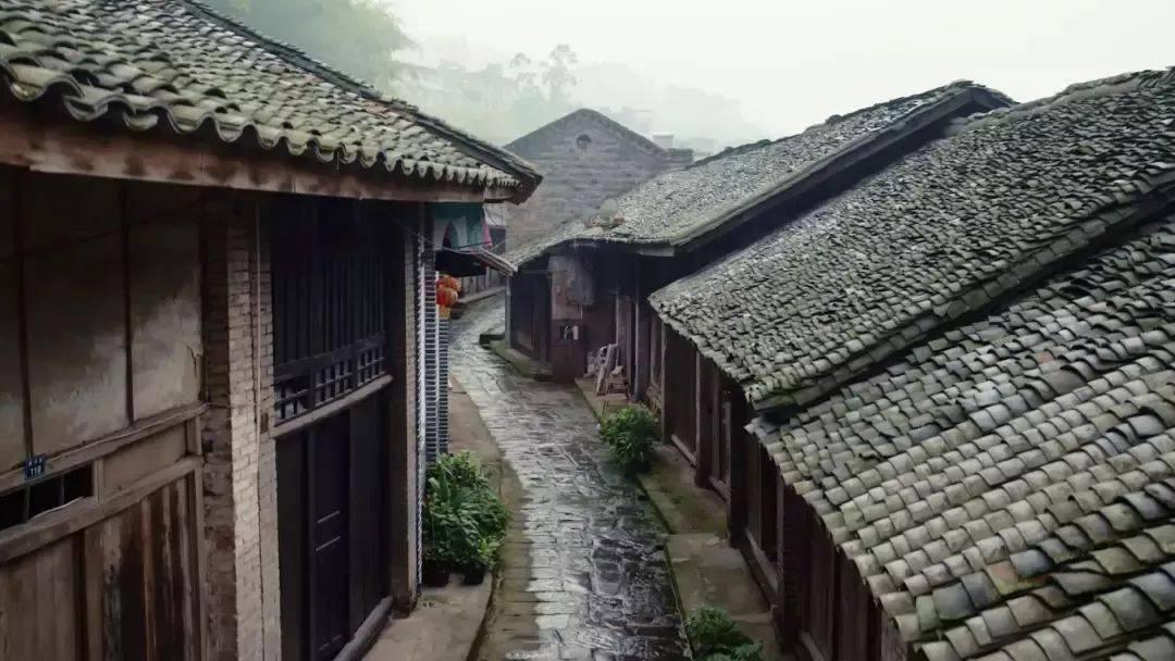 下列食物中哪种对狗来说是致命的？